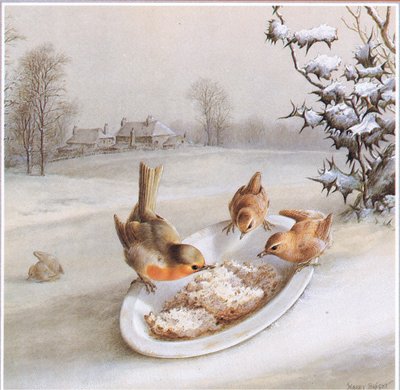 Roodborstjes en Winterkoninkjes: Winterontbijt, Ansichtkaart door Harry Bright