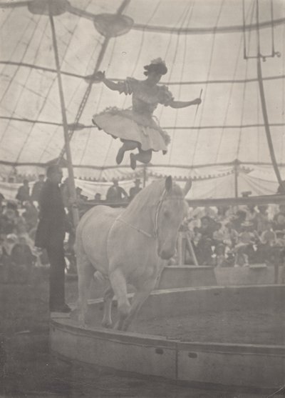 Het circus door Harry C. Rubincam