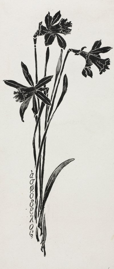 Narcissen door Harry Fenn
