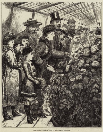 De chrysantenshow in de Temple Gardens door Harry Furniss