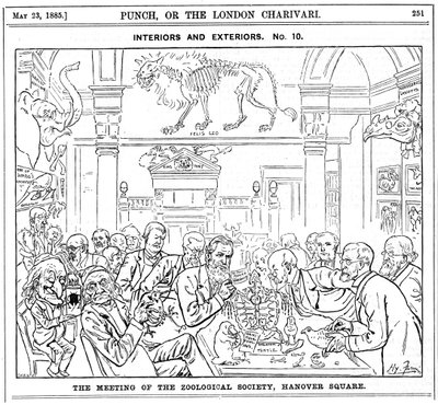 De bijeenkomst van de Koninklijke Zoölogische Vereniging, Hanover Square, Londen, 1885 door Harry Furniss