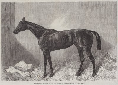 De Markies, Winnaar van de Two Thousand Guineas Stakes in Newmarket door Harry Hall
