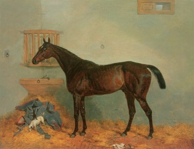 Volbloed in een stal door Harry Hall