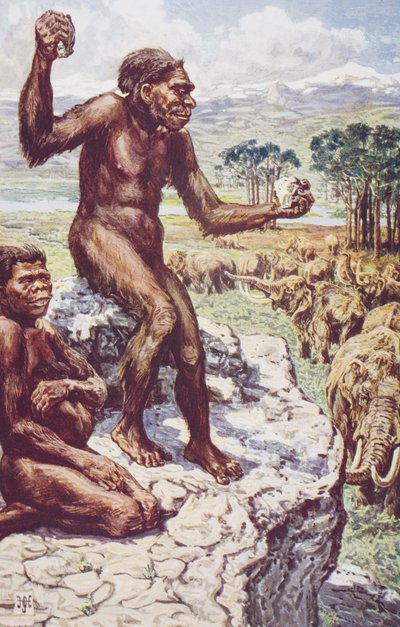 Neanderthaler, illustratie uit 