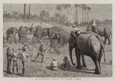 Een Olifant Pooay in Boven-Birma door Harry Hamilton Johnston