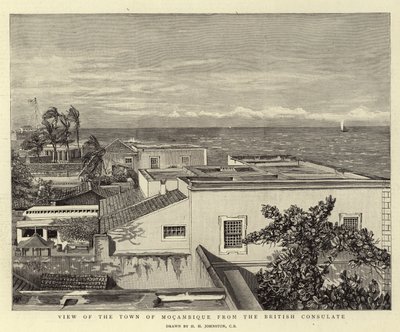 Uitzicht op de stad Mocambique vanaf het Britse consulaat door Harry Hamilton Johnston