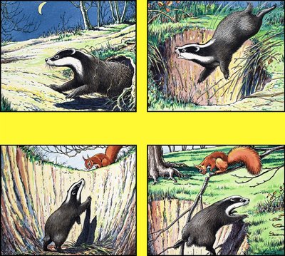 Kleine rode eekhoorn door Harry M. Pettit