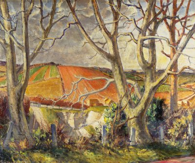 Dorset Krijtgroeve door Harry Morley