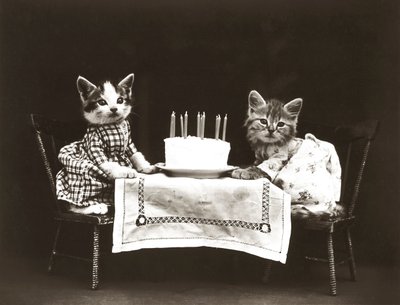 Kittieserie: Verjaardagsfeestje, c.1914 (zilverdruk) door Harry Whittier Frees