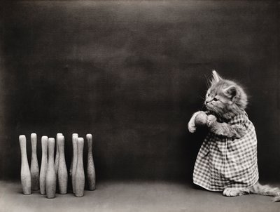 Kittieserie: Bowlen, c.1914 (zilverdruk) door Harry Whittier Frees