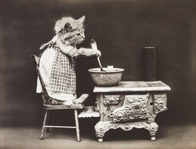 Kittieserie: Kok aan het fornuis, c.1914 (zilverdruk) door Harry Whittier Frees