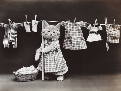 Kittieserie: Wasserij drogen, c.1914 (zilverdruk) door Harry Whittier Frees