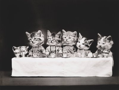 Kittieserie: Laatste avondmaal, c.1914 (zilverdruk) door Harry Whittier Frees