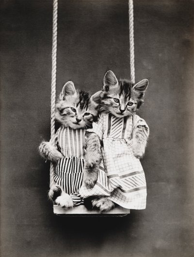 Kittieserie: Op een schommel, c.1914 (zilverdruk) door Harry Whittier Frees