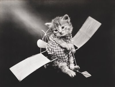 Kittieserie: Vliegende piloot, c.1914 (zilverdruk) door Harry Whittier Frees