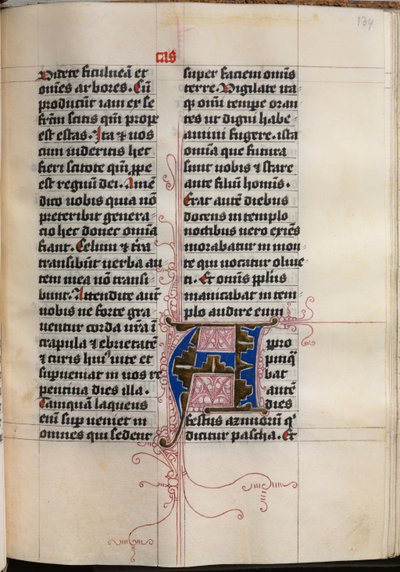 Evangelieboek met Evangelistenportretten: Gedecoreerde Initiaal, c. 1480 door Hausbuch Master