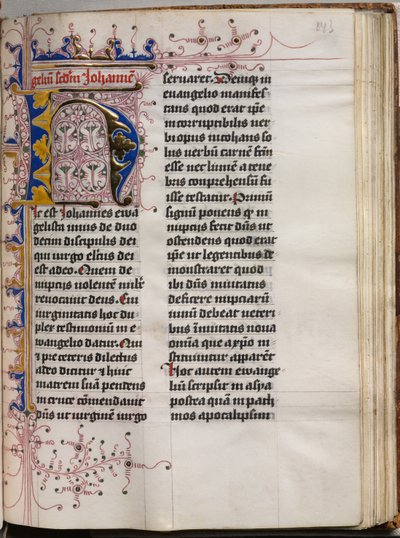 Evangelieboek met portretten van evangelisten: Gedecoreerde initiaal, ca. 1480 door Hausbuch Master