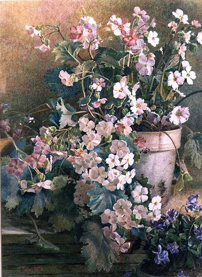 Studie van Sleutelbloemen door Hector Caffieri