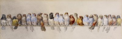 Een zitstok van vogels, ca. 1880 door Hector Giacomelli