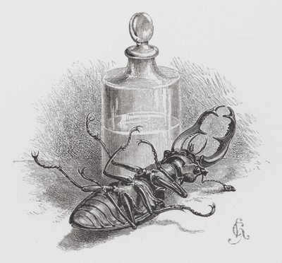 Het insect: Dode kever (gravure) door Hector Giacomelli