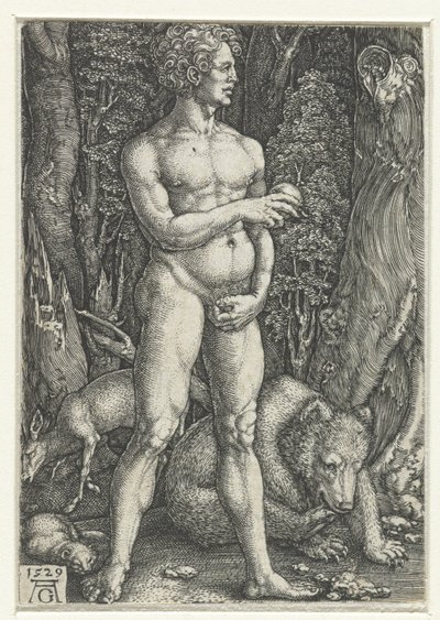 Adam door Heinrich Aldegrever