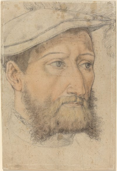 Portret van een Bebaarde Man met een Baret door Heinrich Aldegrever