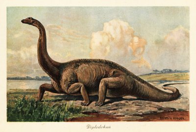 Uitgestorven Diplodocus longus op de vlaktes door Heinrich Harder