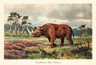 Uitgestorven wolharige neushoorn op de steppen door Heinrich Harder