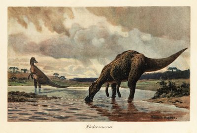 Hadrosauriërs of eendensnaveldinosauriërs die in een rivier eten door Heinrich Harder