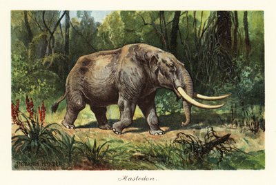Mastodont van het uitgestorven geslacht Mammuthus door Heinrich Harder