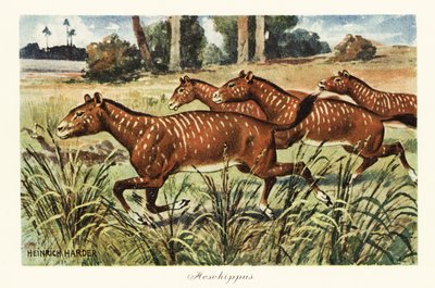 Mesohippus, uitgestorven geslacht van vroege paarden, 1908 (print) door Heinrich Harder