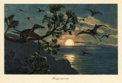 Rhamphorhynchus pterosauriërs vliegend in het maanlicht door Heinrich Harder