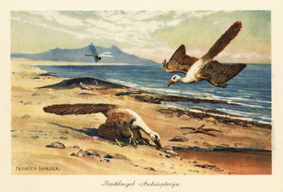 Twee Archeopteryx foerageren aan de kust door Heinrich Harder