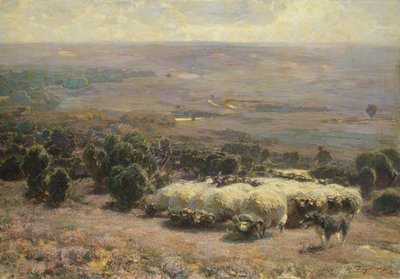 Een Kudde Schapen in de Lüneburger Heide door Heinrich Johann von Zugel