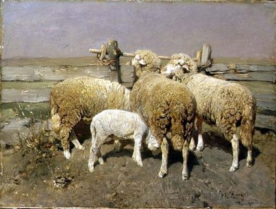 Schapen in een hok door Heinrich Johann von Zugel