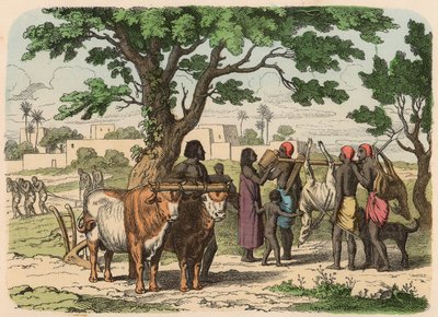 Oude Egypte: Landbouw en jacht door Heinrich Leutemann
