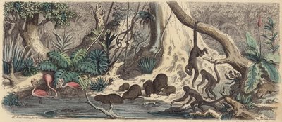 Oever in Guiana door Heinrich Leutemann
