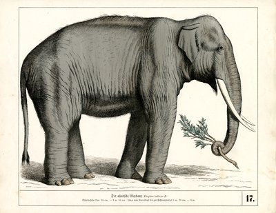 De Aziatische olifant door Heinrich Leutemann