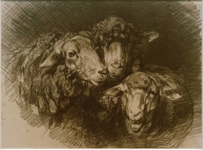 Schapen door Heinrich von Zügel