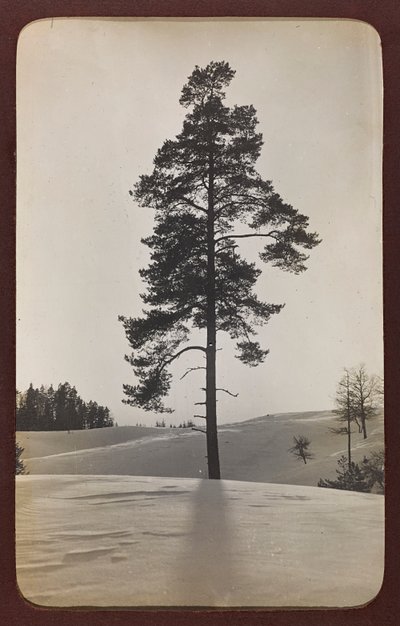 Eerste Wereldoorlog: Oekraïne in de jaren 1914-1916 tijdens de invasie van het Duitse leger. Landschap met sneeuw door Heldenfriedhof Dsessentniki (attr. to)