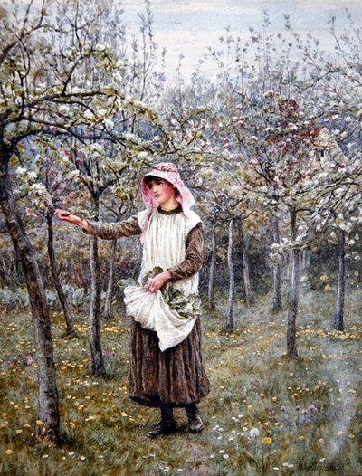 Bloesemtijd door Helen Allingham