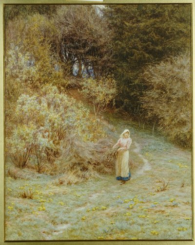 In het Primrose-bos door Helen Allingham
