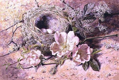 Bloesem en vogelnest door Helen Cordelia Coleman Angell