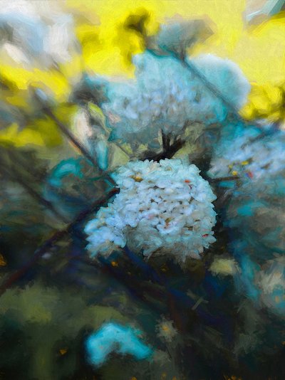 Bloeiende Meitijd, 2019 door Helen White
