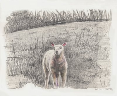 Lamby, 2016 door Helen White