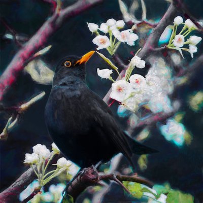 Heer van het Zomerlied, 2019 door Helen White