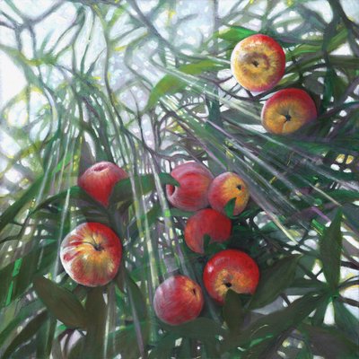 Nieuw licht op Eden, 2016 door Helen White