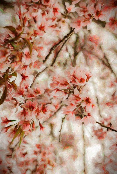Orientalis door Helen White
