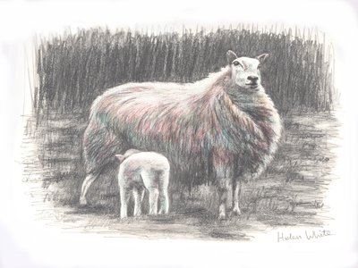 Trots, 2016 door Helen White
