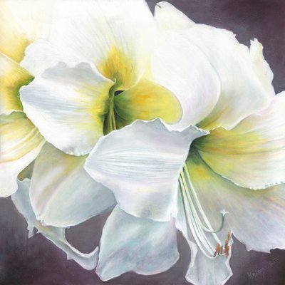 Puur potentieel, 2016 door Helen White